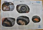 2022kokubunji-f27.jpg